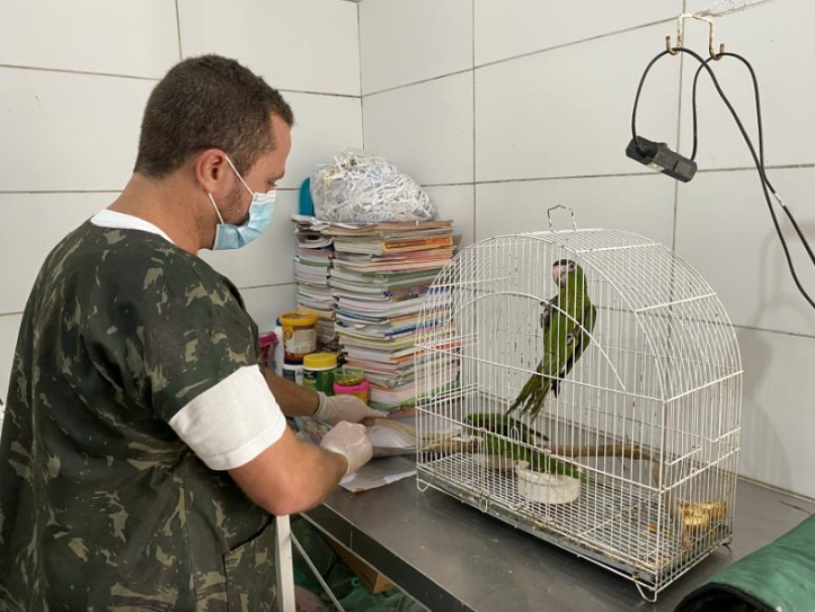 IMA arrecada mais de 200 kg de doações para cuidado de animais silvestres resgatados